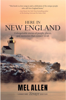 logo here in new england